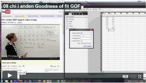 09 chi i anden Goodness of fit GOF 83229202